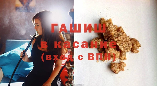 твердый Магас