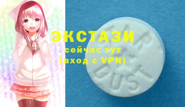 твердый Магас
